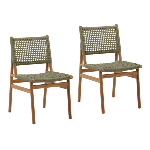 Hokku Designs Aleanna Faux Rattan Outdoor Dining Chair, Green (Set of 2